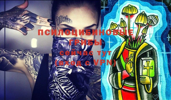соль ск Новозыбков