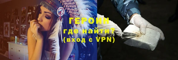 прущие грибы Гусиноозёрск