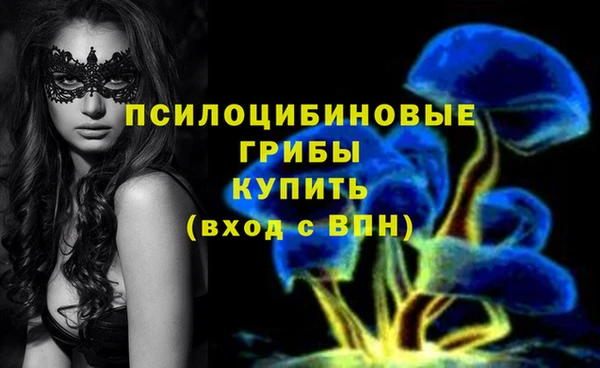 МДПВ Новодвинск