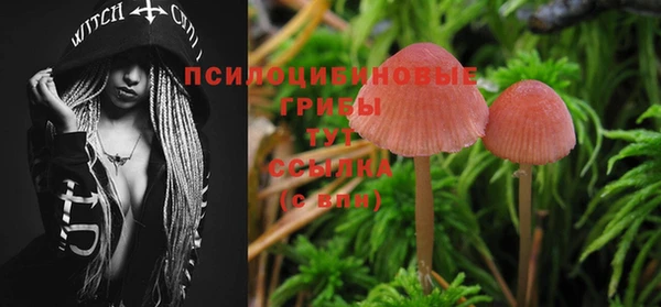 соль ск Новозыбков